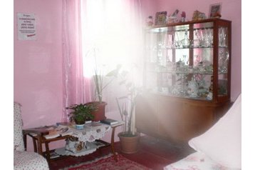 Romania Privát Putna, Interno